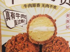 -岭南站NOVA