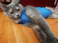 -北京赛佳动物医院