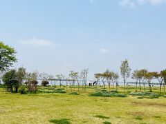 -漕湖湿地公园