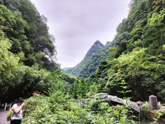 -神龙峡风景区