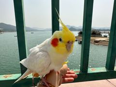 -北京金海湖景区