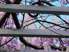 -郑和公园