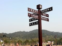 -长兴慧子土特产茶行