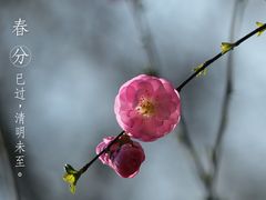 -北京麋鹿生态实验中心