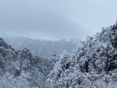 -黄山风景区
