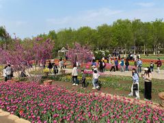 -石家庄市植物园