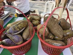 -浙江农林大学(东湖校区)