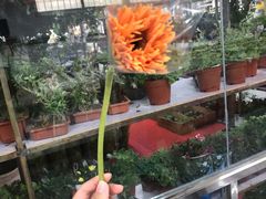 -朝内南小街菜市场