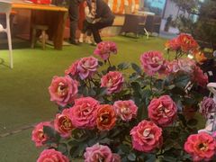 -山水茶艺馆·点心粤菜·30年老字号