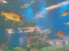 -涛·海底餐厅·美人鱼·自助餐·海底隧道(三亚海棠湾洲际度假酒店)
