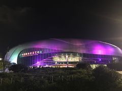 -宝能国际体育演艺中心