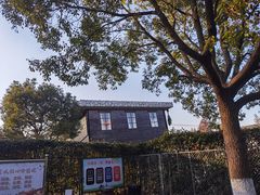 -金山农民画村-枫泾波兰倒置屋