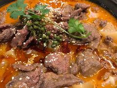 自制不老牛肉汤锅-付掌柜在成都·热炒砂锅集(金禾店)
