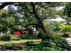 -西溪国家湿地公园