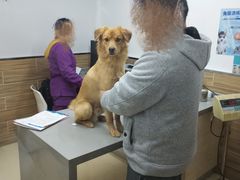 -爱侣宠医·鹦鹉专科·小型哺乳类·异宠专科(灵石路店)