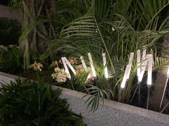 -渡娘火锅(大兴大悦春风里店)