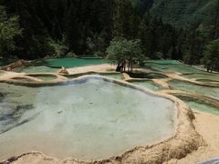 -黄龙山原始森林景区