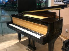 -柏斯音乐艺术中心·钢琴·吉他(世纪金源店)