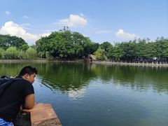 -东莞市可园博物馆