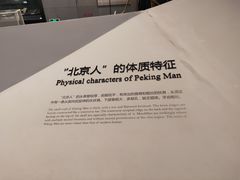 -北京周口店北京人遗址博物馆