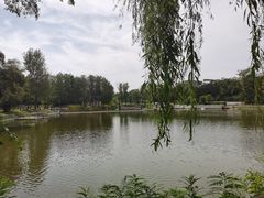 -沈阳植物园