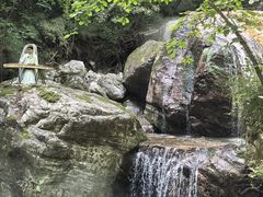-牛背梁国家森林公园