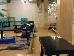 大堂-萌喵宠狗爱心宠咖
