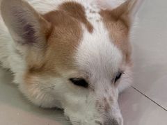 -平行世界·猫咖(首经贸店)