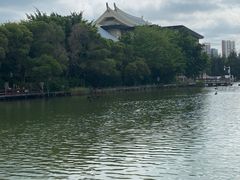 -五缘湾湿地公园