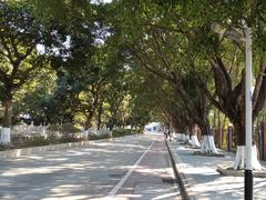 -水濂山森林公园