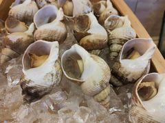 -富力希尔顿酒店·地阔自助餐厅