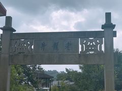 -十八棵（老龙井）御茶园(老龙井店)