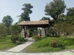 -王借岗森林公园