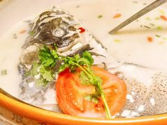 -全乐鱼馆·淳牌有机鱼直营店