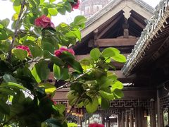 -绳金塔