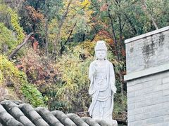 -八大处公园