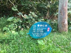 -金山植物公园