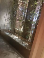 -盘子女人坊古装写真摄影(南京总店)