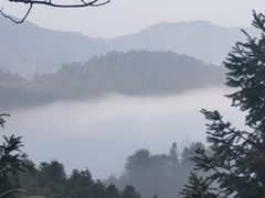 -江西阳明山国家森林公园