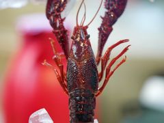 -小鳌陪你小排档·四季小龙虾·田鸡·宵夜(中央第五街店)