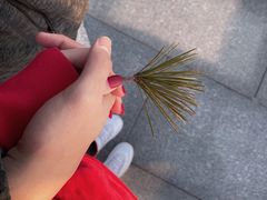 -大兴滨河森林公园