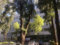 -语言大学-清真食堂