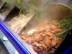 -食尚名肴自助涮烤
