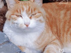 -北京鲁迅博物馆(北京新文化运动纪念馆鲁博馆区)