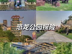 -常州环球恐龙城维景国际大酒店