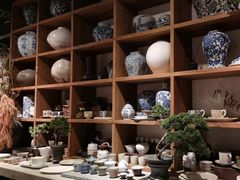 -自由生长植物工作室(深港花卉中心店)