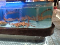 -阿伟海鲜楼·福建菜(延寿店)