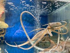 -雅逸居海鲜小厨