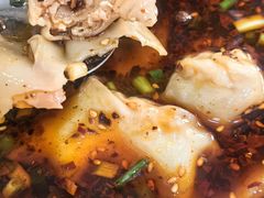红油抄手-康大口蘑面庄(将军街店)
