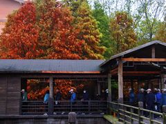 -溱湖国家湿地公园